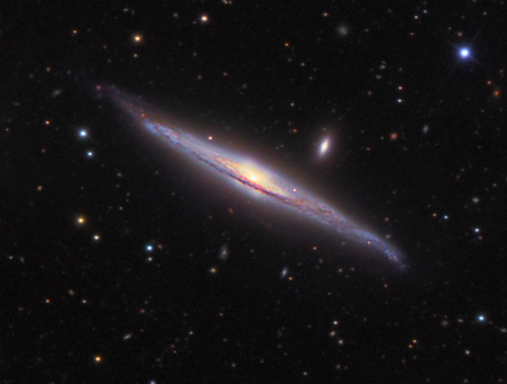 Full Size Image