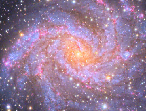 Full Size Image