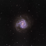 M61