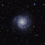 M74