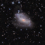 NGC2146