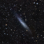 NGC3109