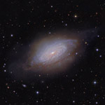 NGC3521