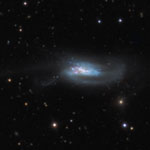 NGC6239