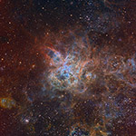 Tarantula Nebula