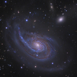 NGC772